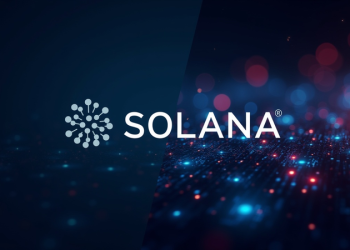 SOL eyes $170 after sweeping the August 4 low