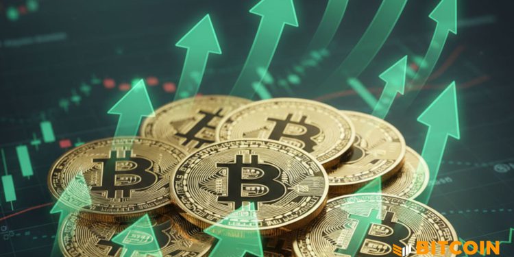 Bitcoin Price Rebounds Above $103,000 — Is A Bull Run Next?