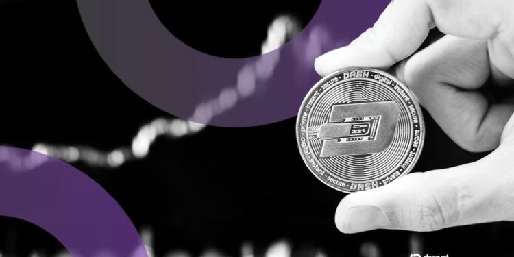 Privacy Coins Post Double-Digit Gains, Defying Market Slump