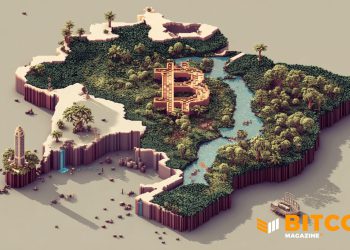 Brazil Eyes 1 Million Bitcoin For National BTC Reserve