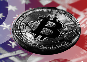 US Government Runs a Bitcoin Node, But Not Mining BTC: US Admiral