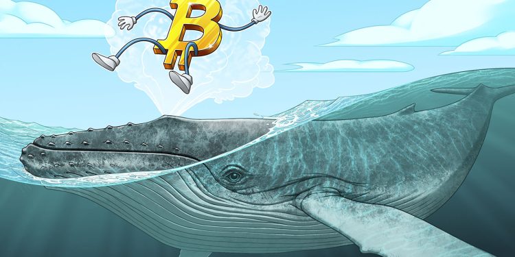 600 BTC Mined in 2010 Moves After 16 Years of Dormancy