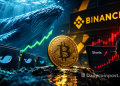Whale Wallets Just Hit an All-Time Record and Binance Shorts Just Hit Their Highest Level Since $62,000 and One of These Trades Is About to Be Very Wrong